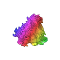 Rainbow Tyrantei